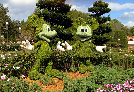 mickey & mickey greenery