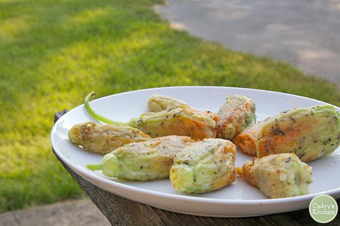 Stuffed squash blossoms on plate outside.