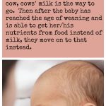 People are sometimes confused about if or if not breastfeeding is vegan. If this topic has ever confused you, check out this post to learn more. | cadryskitchen.com
