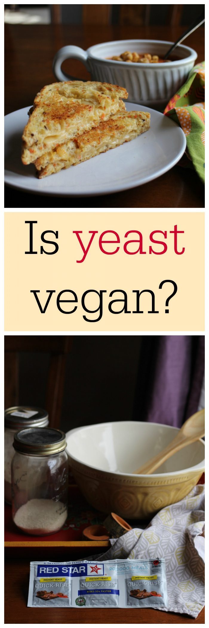 Is yeast vegan? This is something that confuses many people. Short answer: Yes. Yeast is in the fungus family, like mushrooms. | cadryskitchen.com