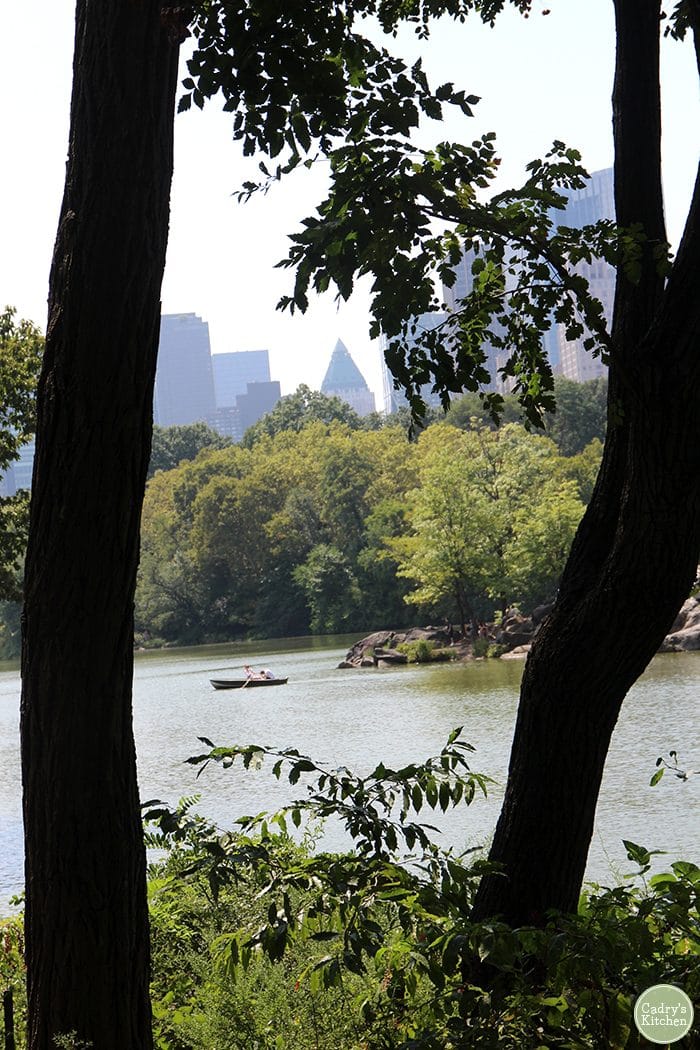 People boating in Central Park.