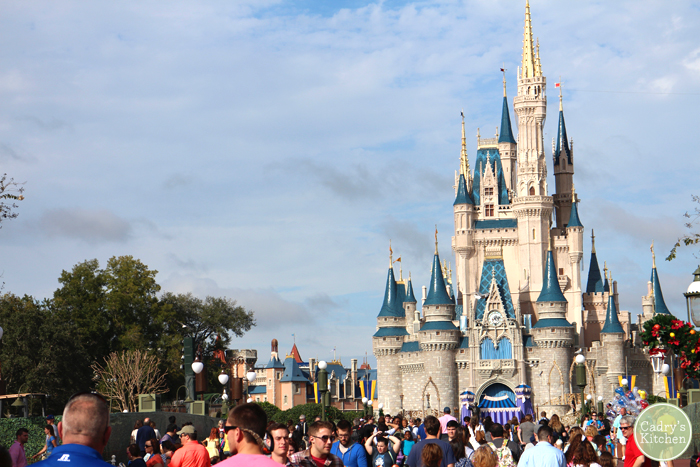 Cinderella's Castle at Magic Kingdom in Disney World.