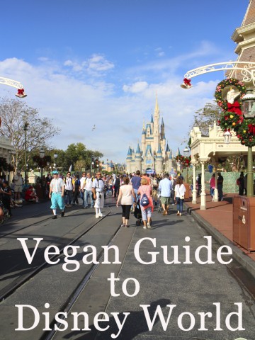 Text overlay: Vegan Guide to Disney World. Castle & Main Street at Magic Kingdom.