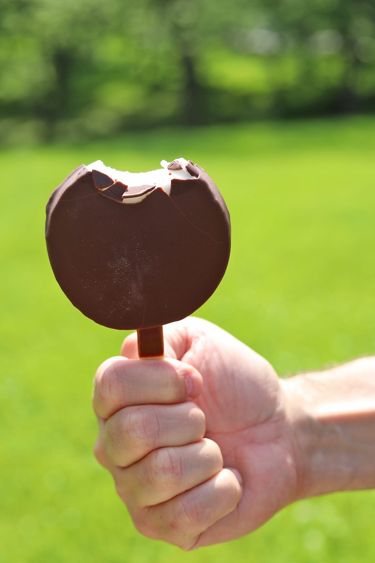 Hand holding vegan Dilly bar from Dairy Queen.