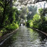 Canal off Lake Osceola in Winter Park, Florida.