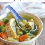 Text overlay: Potsticker soup. Asian dumpling soup with carrots in bowl.