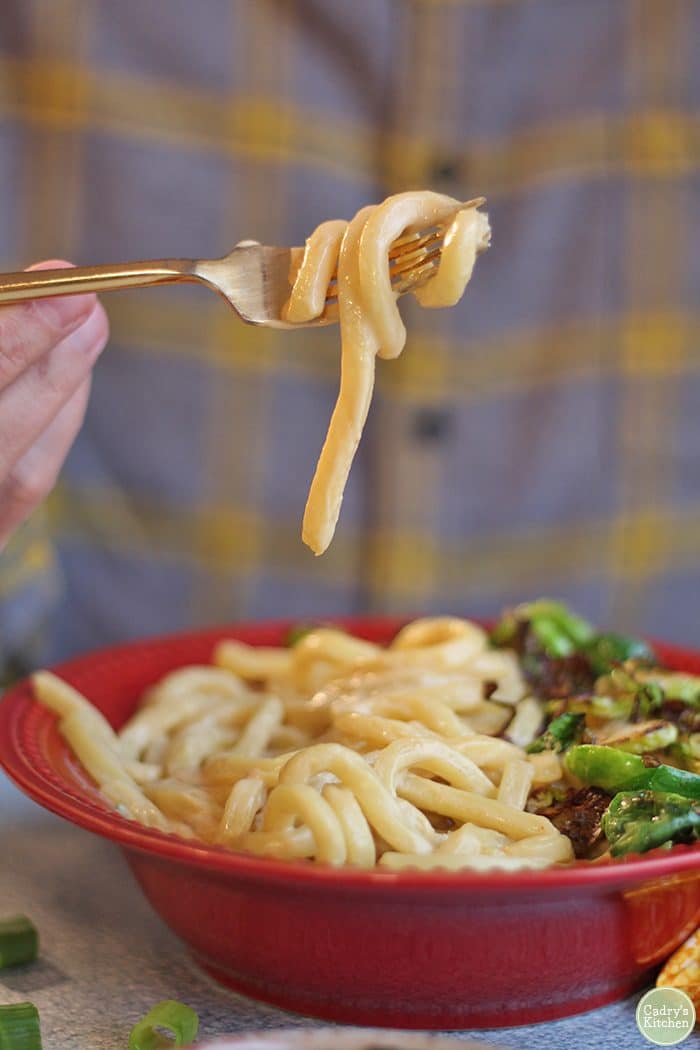 Fork with vegan udon noodle in cashew cheese sauce.
