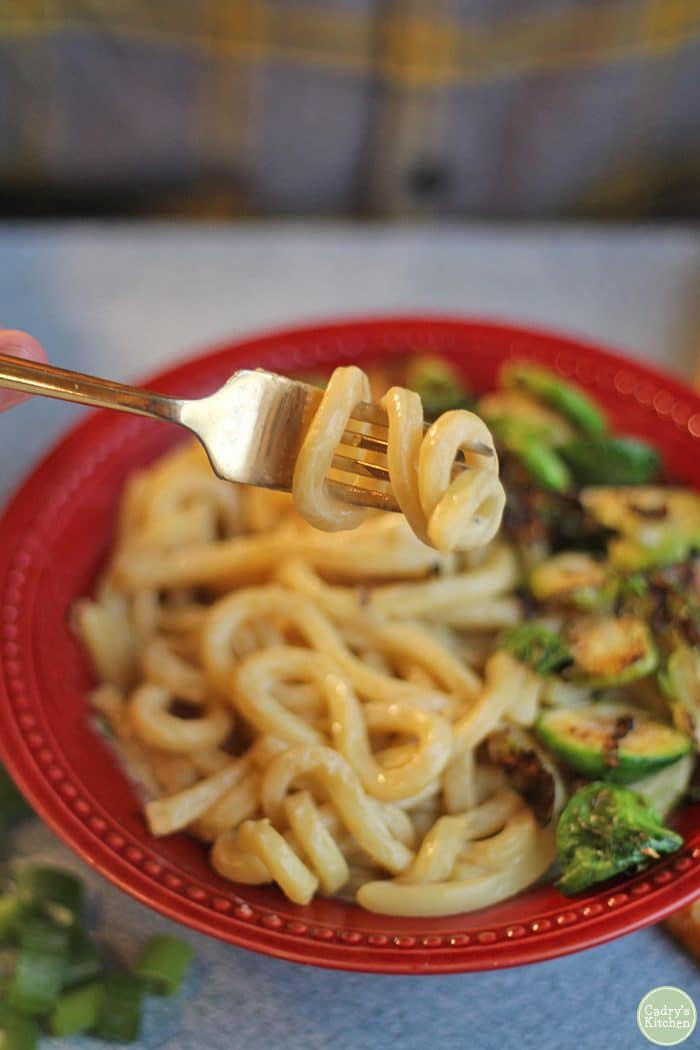Udon noodle wrapped around fork. Cheesy vegan udon noodle bowl in background.