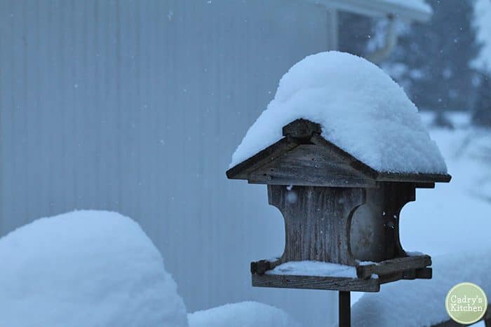 Bird feeder covered in snow during Polar Vortex.