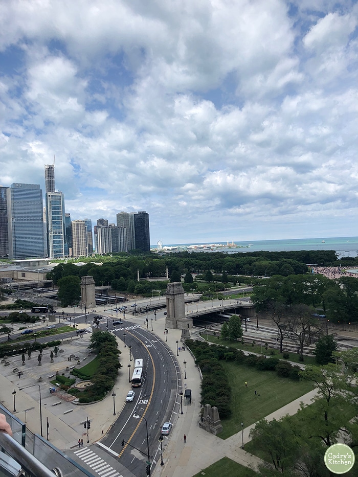 Downtown Chicago skyline and Lake Michigan.