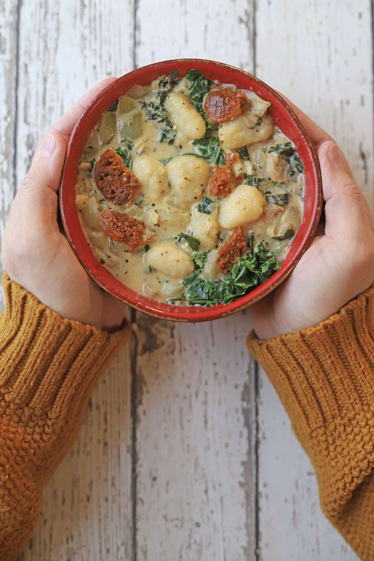 Hands holding bowl of vegan gnocchi soup.