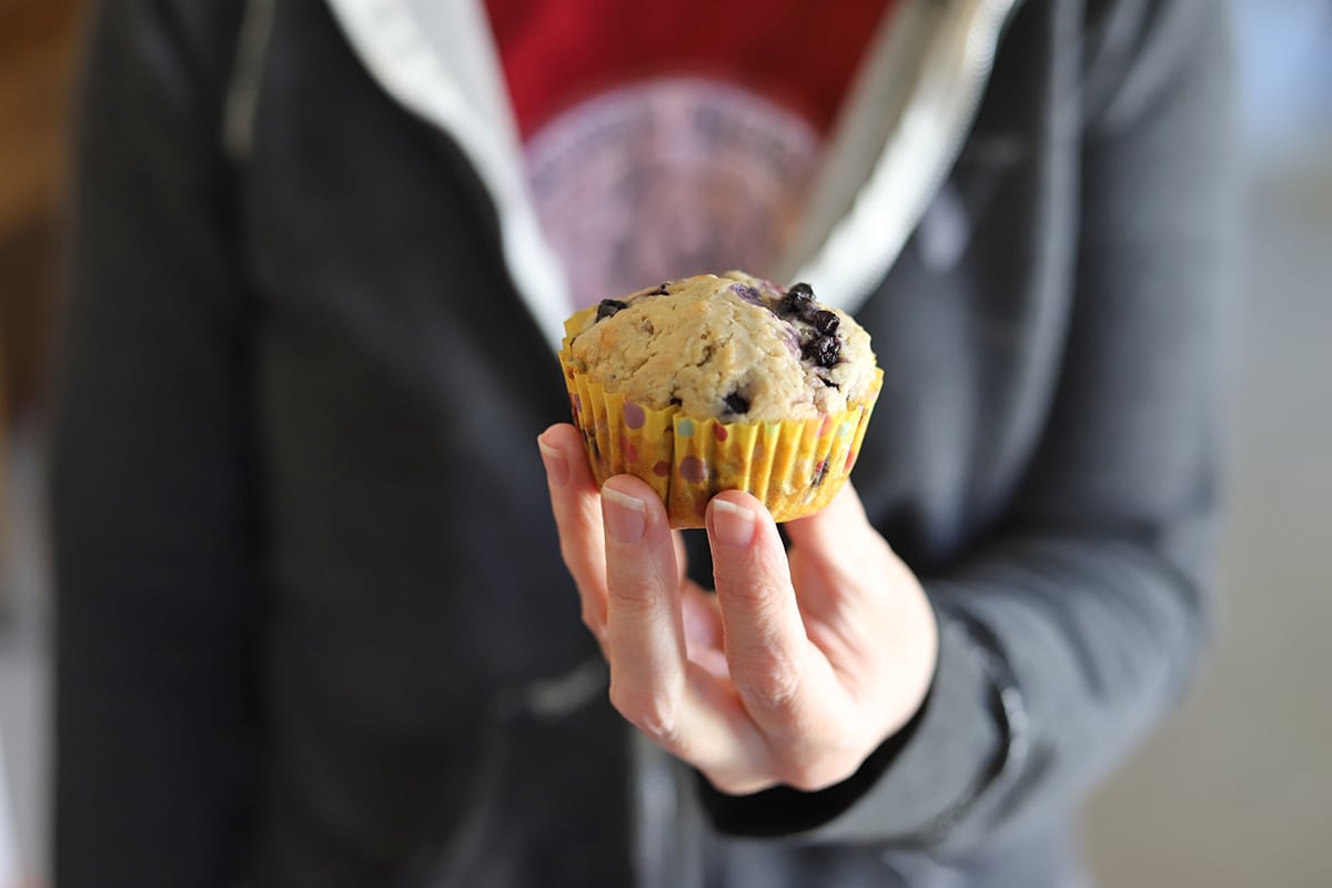 Hand holding blueberry muffin.