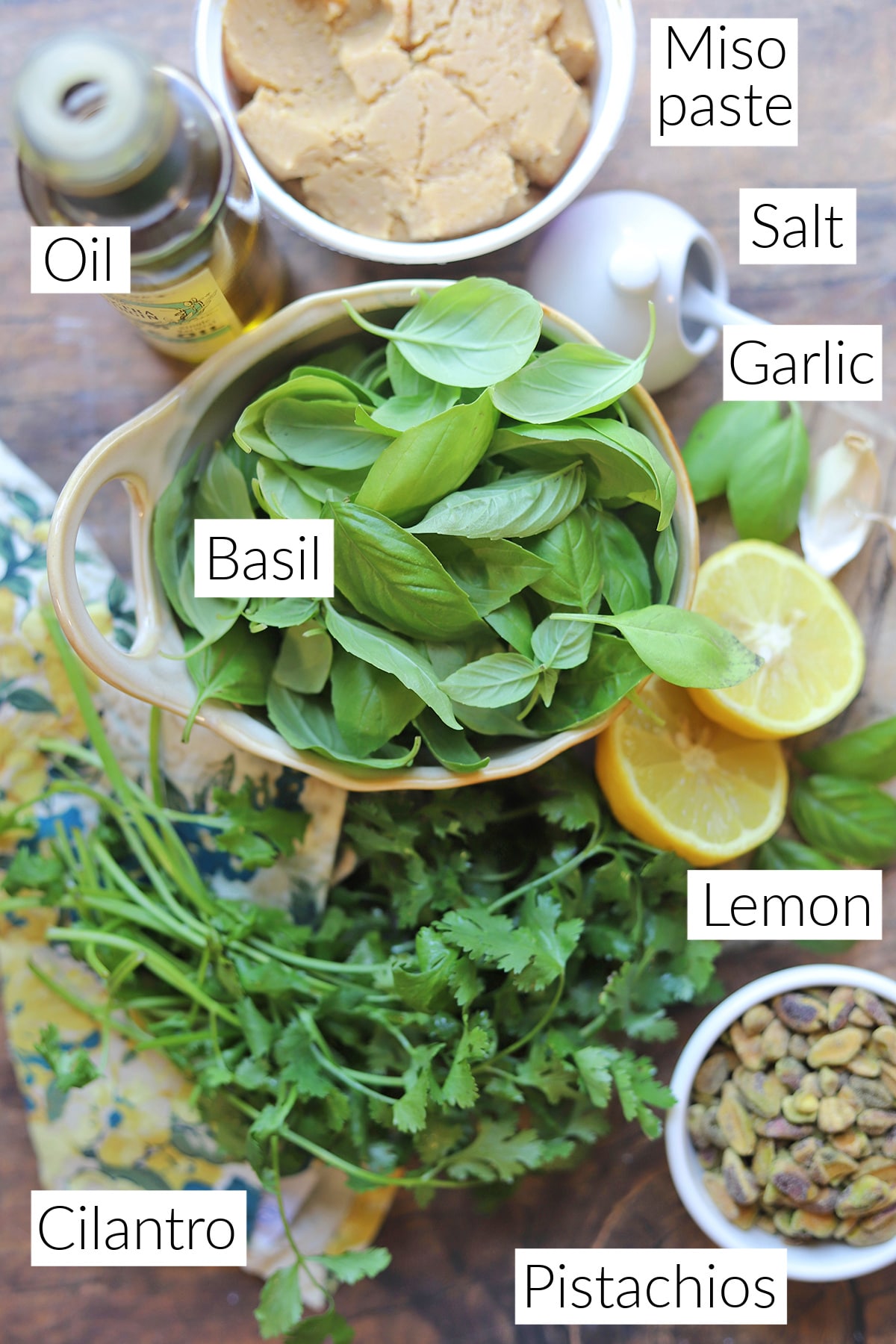 Labeled ingredients for cilantro basil pesto.