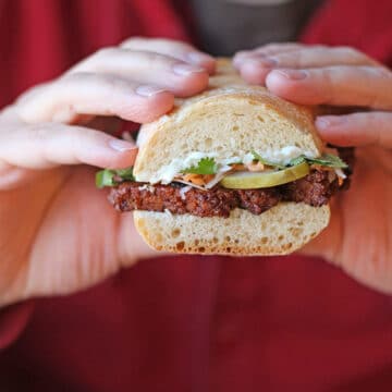 Hands holding vegan banh mi sandwich.