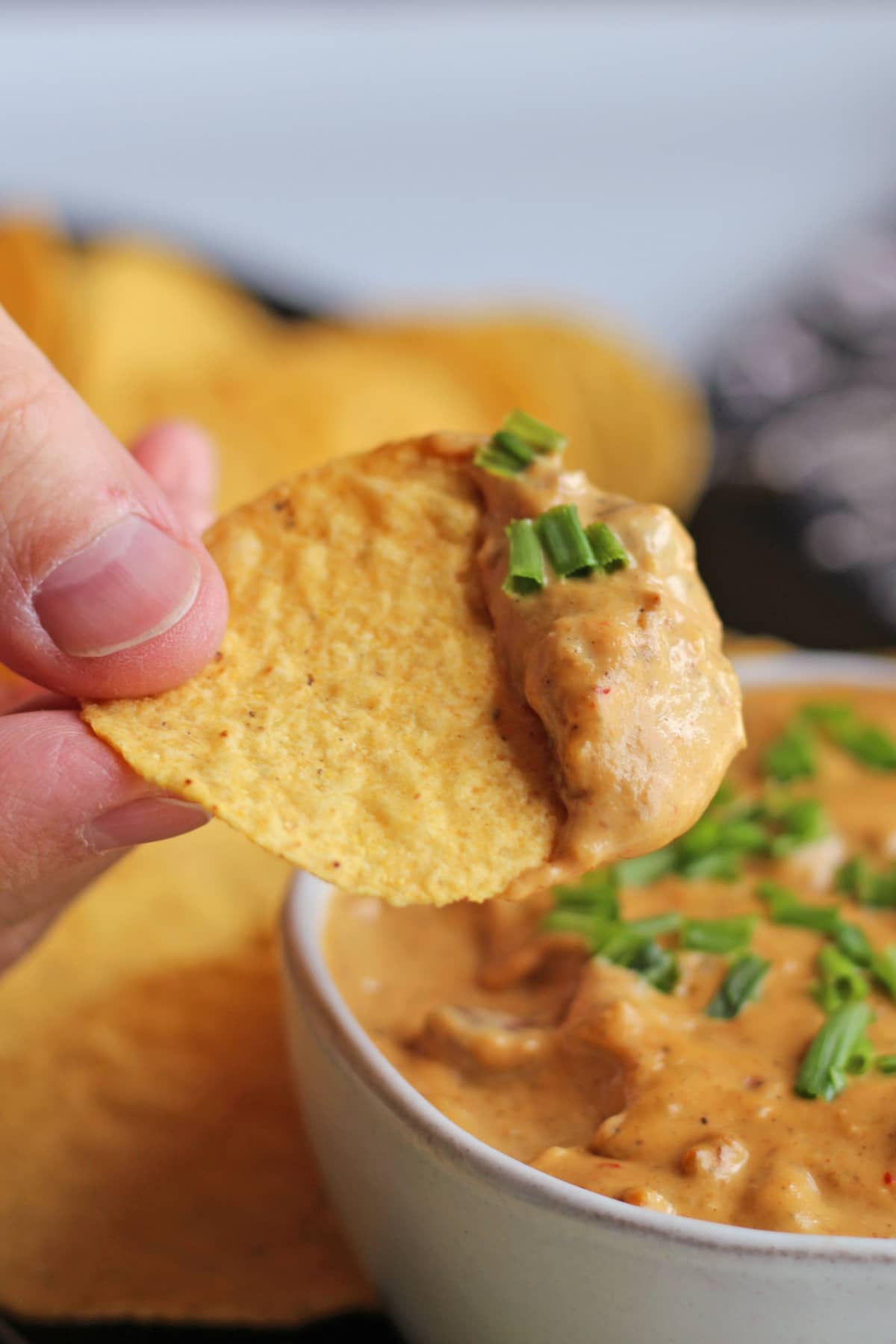 Tortilla chip with cashew queso and chives.