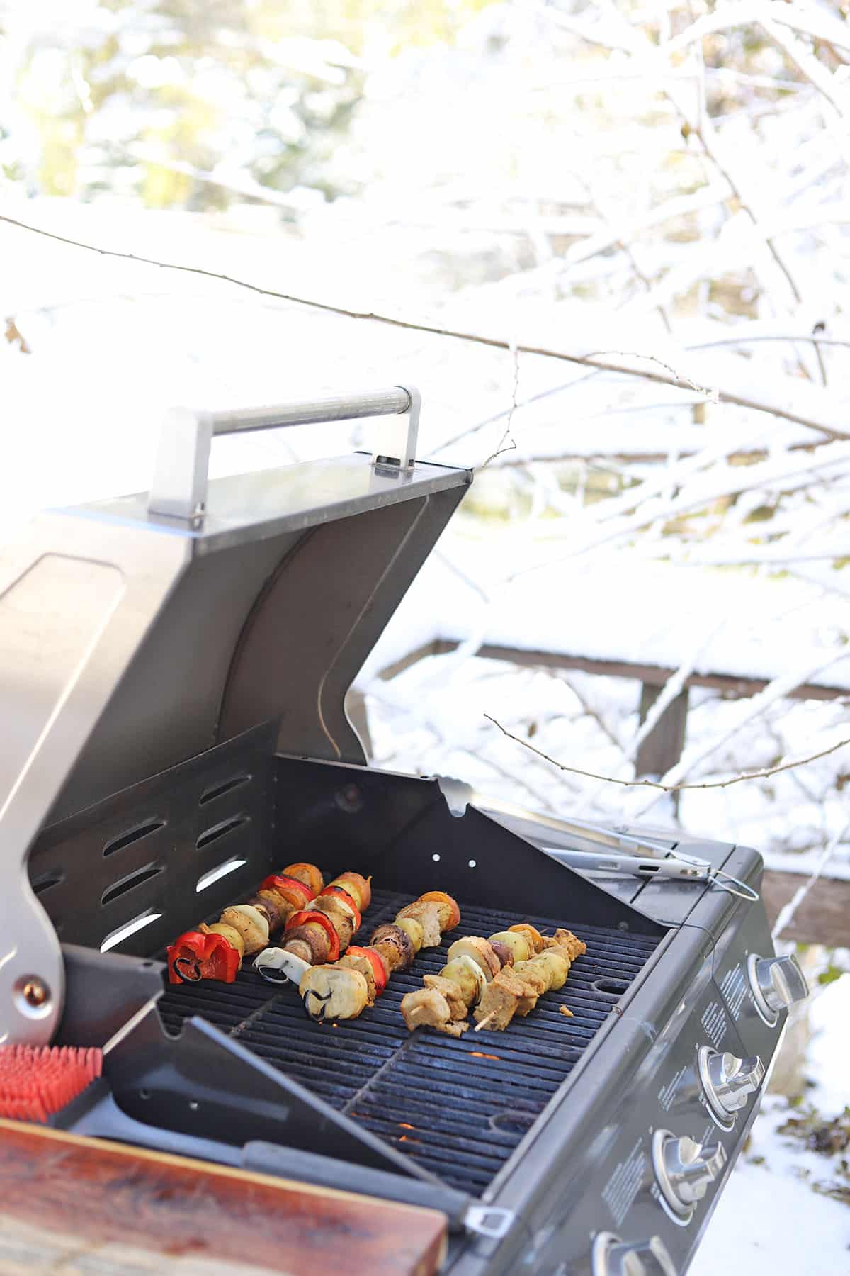 Vegan skewers on outdoor grill.