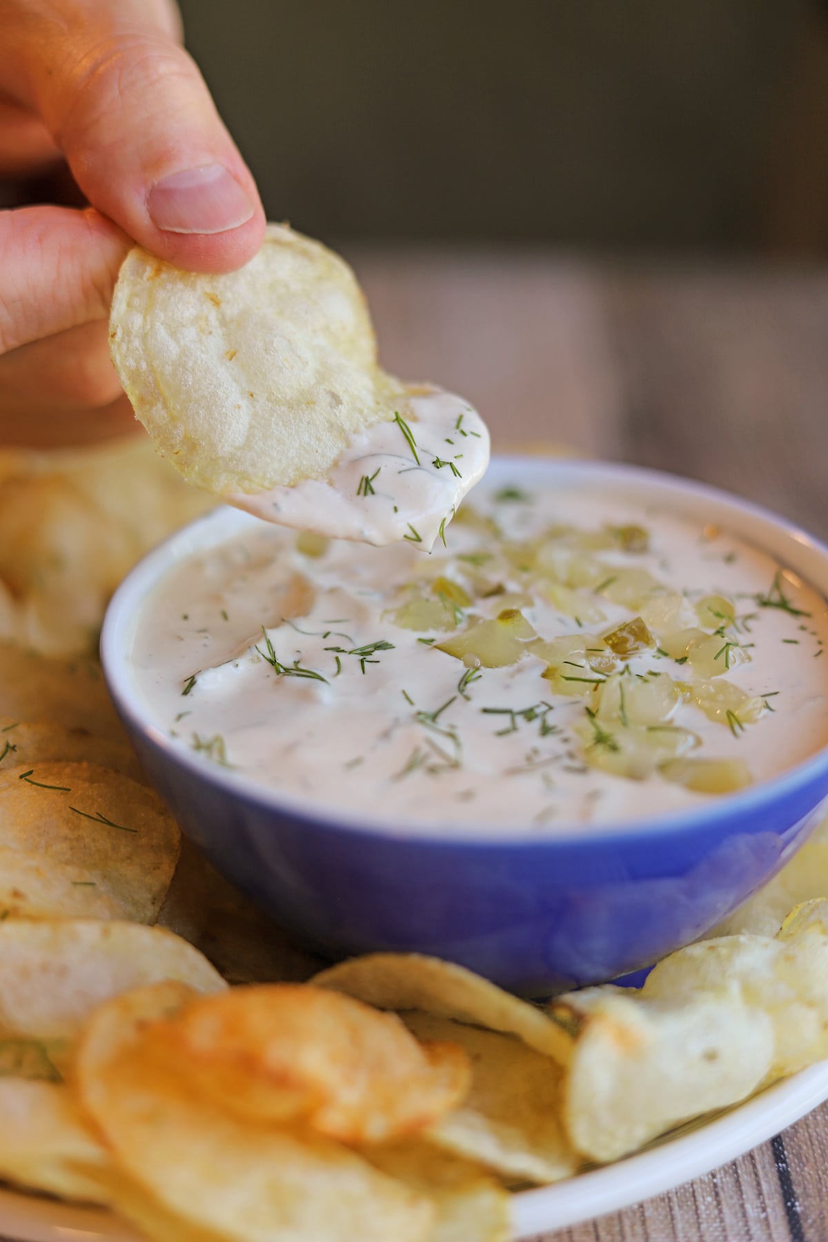 Potato chip dunked in cashew dill pickle dip with fresh dill on top.