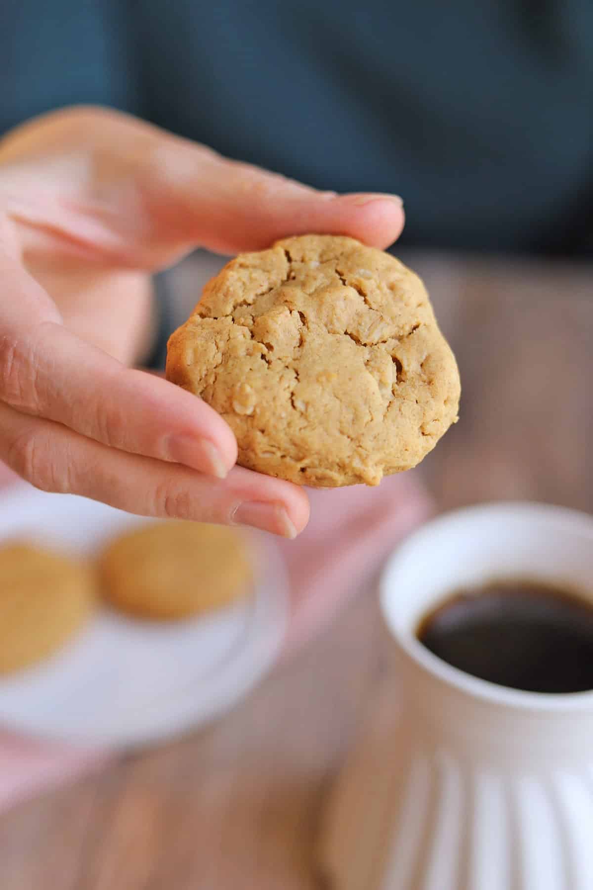 Hand holding vegan peanut butter and oatmeal cookie.