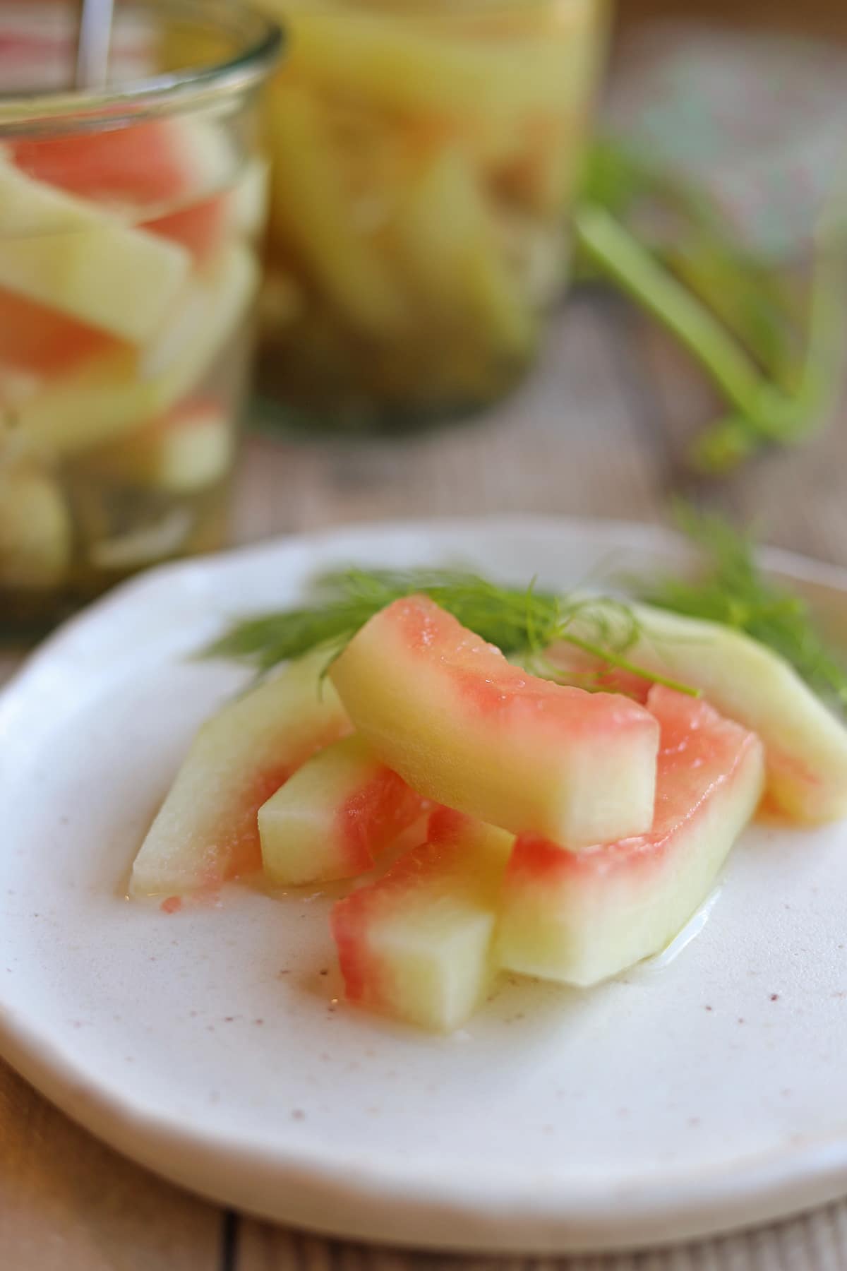 Watermelon rind pickles on plate with fresh dill sprigs.