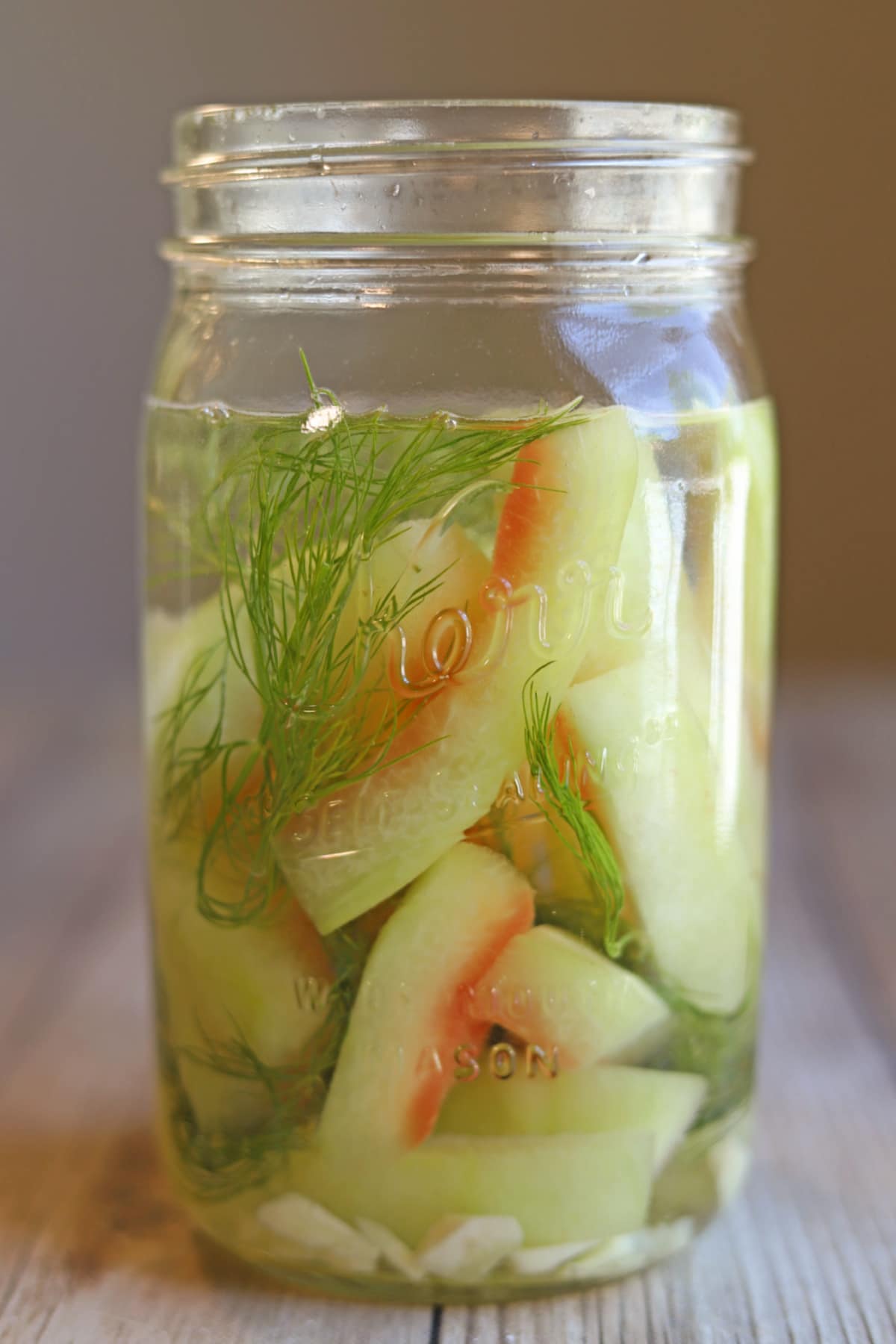 Watermelon rind refrigerator pickles in jar with dill and garlic.
