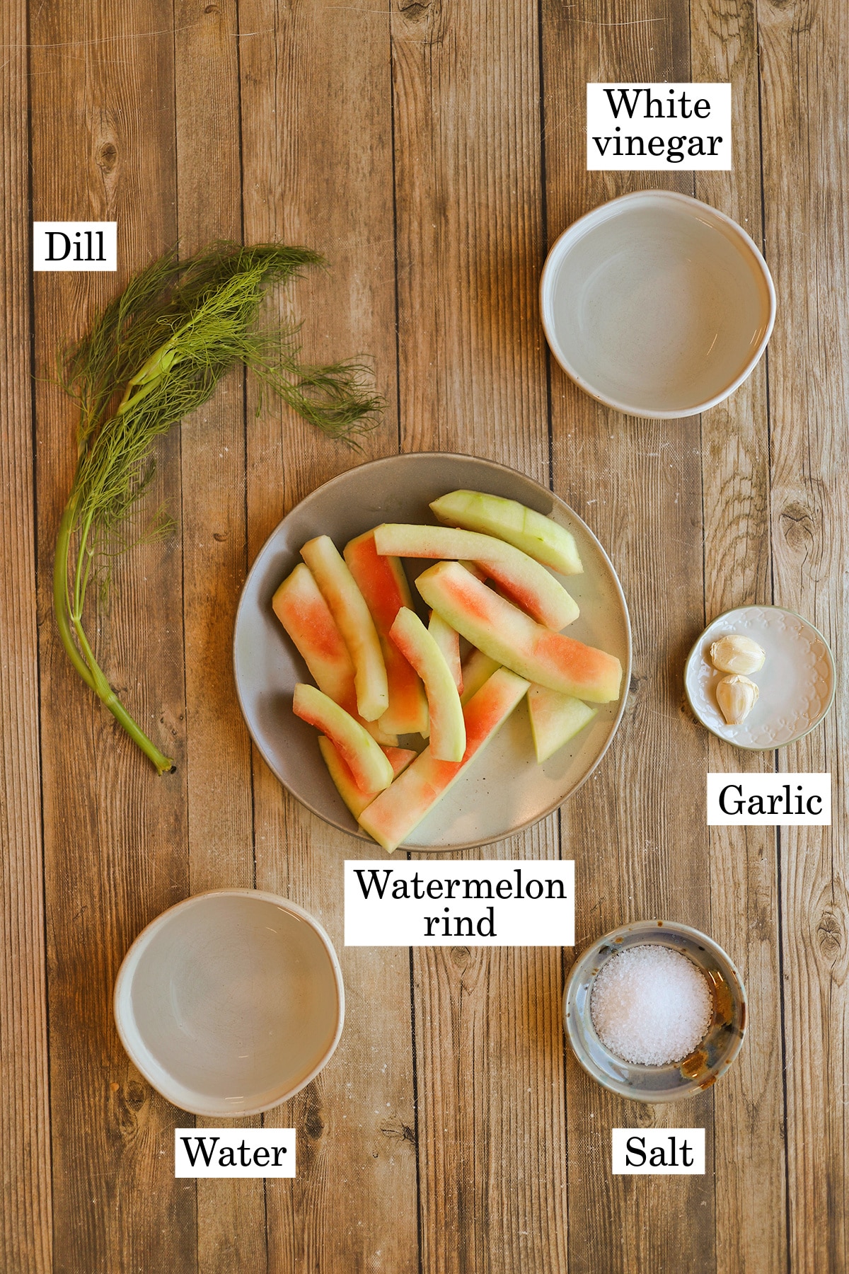 Labeled ingredients for watermelon rind pickles - fresh dill, white vinegar, garlic, salt, water, and watermelon rind.