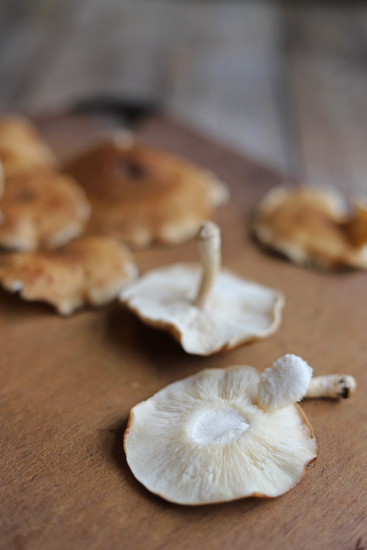 Thick stem removed from shiitake mushroom on cutting board.