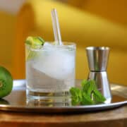 Gin and tonic with freshly squeezed lime and mint in rocks glass by jigger on tray.