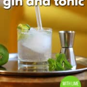 Text overlay: The perfect gin and tonic with lime and mint, get the recipe at cadryskitchen.com. G&T on table with jigger, fresh mint, and lime.