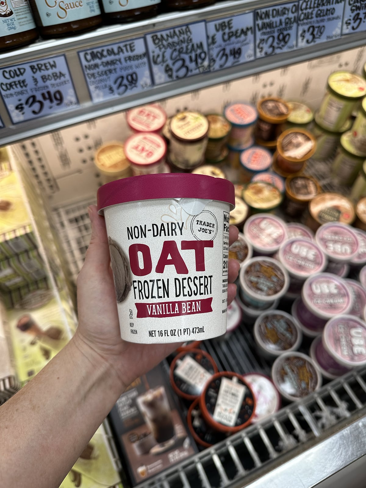 Hand holding non-dairy oat frozen dessert vanilla bean at Trader Joe's.