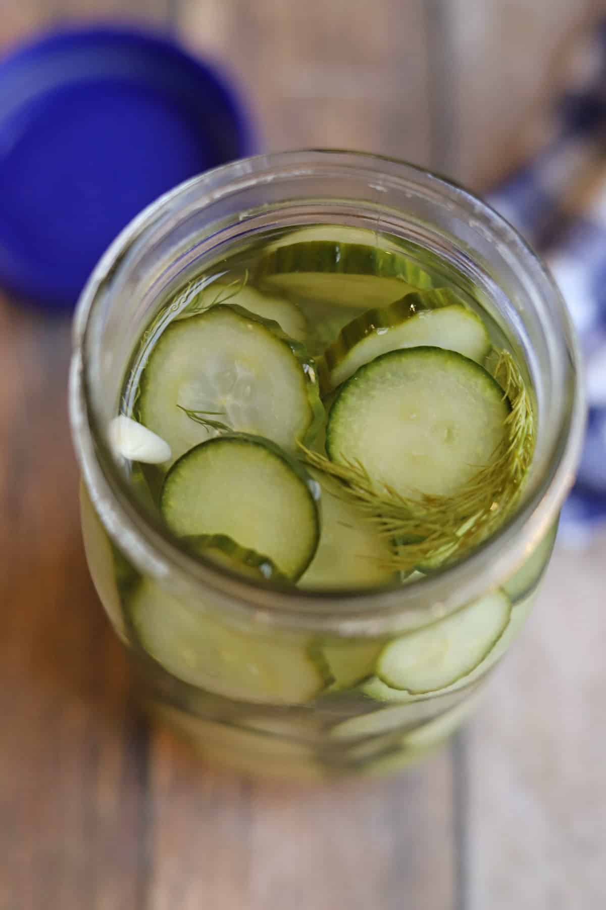 Crisp slices of cucumber in jar with brine, fresh dill, and slivered garlic.