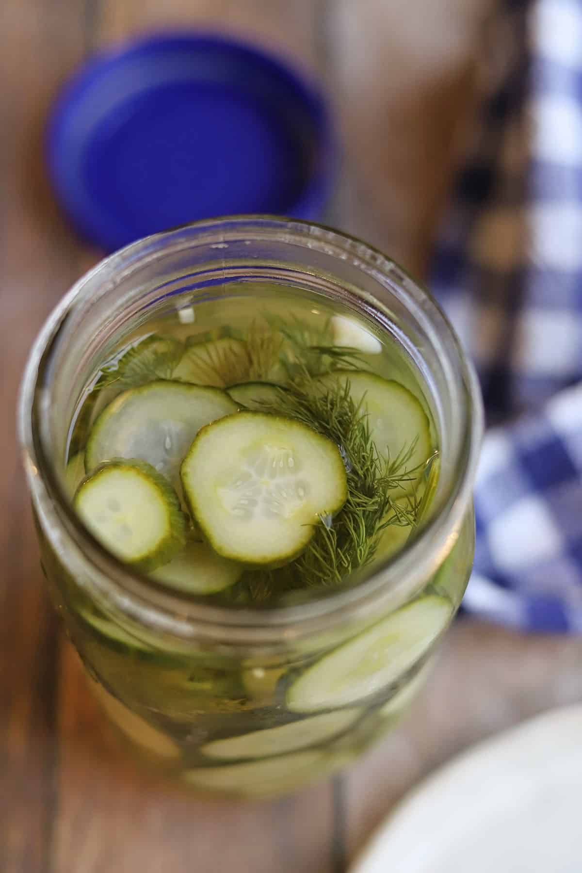 Refrigerator cucumber pickles with fresh dill by blue gingham cloth napkin.