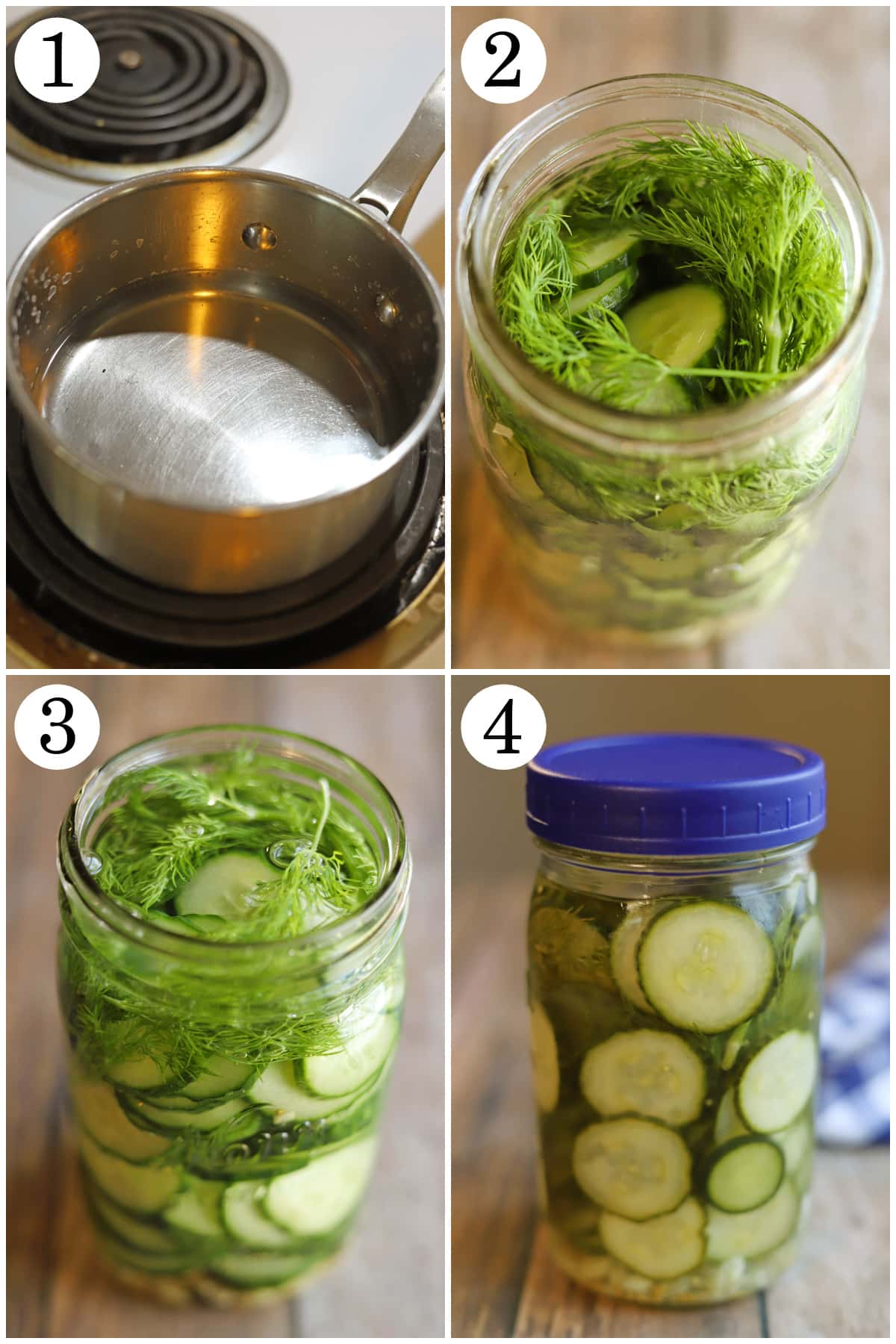 4-panel collage showing how to make simple brine, add cucumbers and dill to jar, cover with brine, and seal jar with lid.