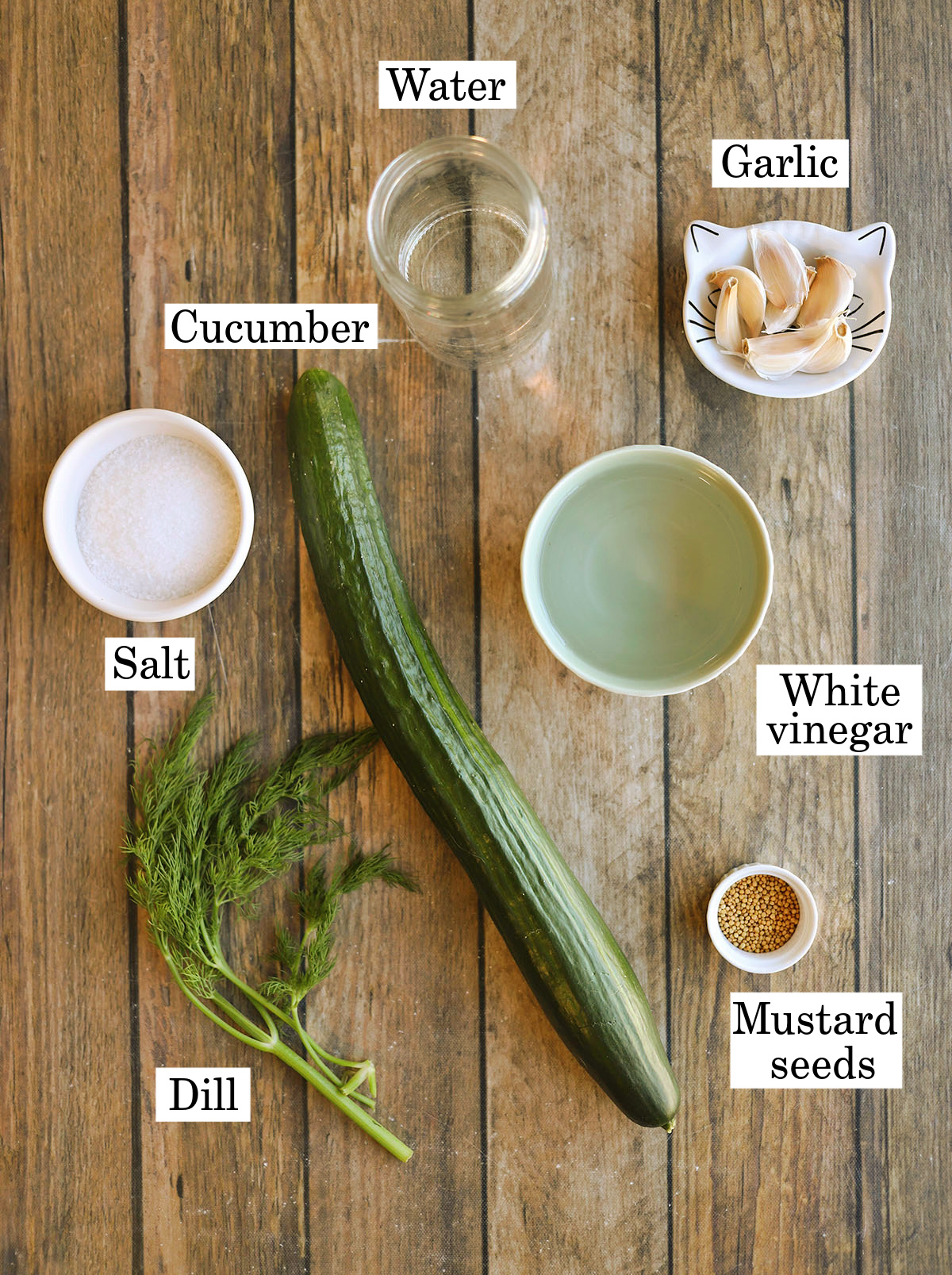 Labeled ingredients for cucumber quick pickles with fresh dill, garlic, and mustard seeds.
