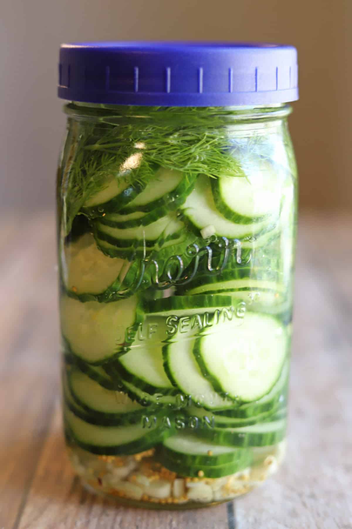 Quick pickled cucumbers in glass jar with dill, garlic, and mustard seeds.