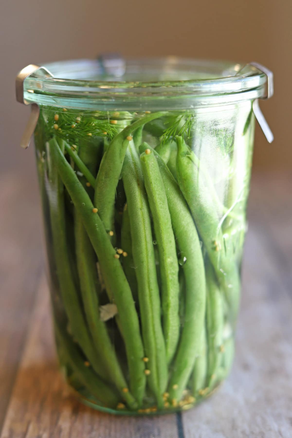 Dilly beans in jar with slivered garlic, fresh dill fronds, and mustard seeds.