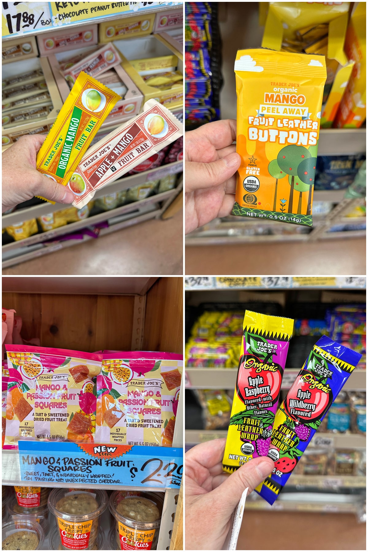 4-panel collage with fruit bars, fruit leather butons, mango & passion fruit squares, and fruit leather wraps.