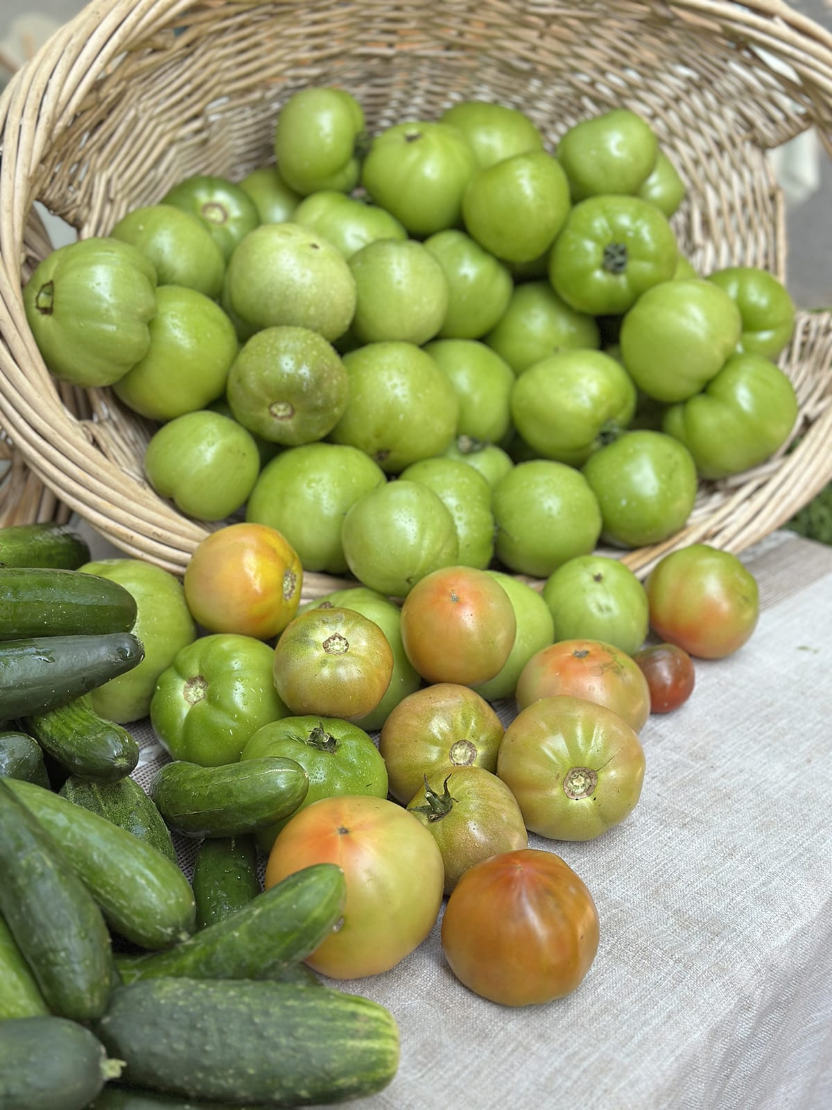 Green tomatoes pouring out of basket by cucumbers.