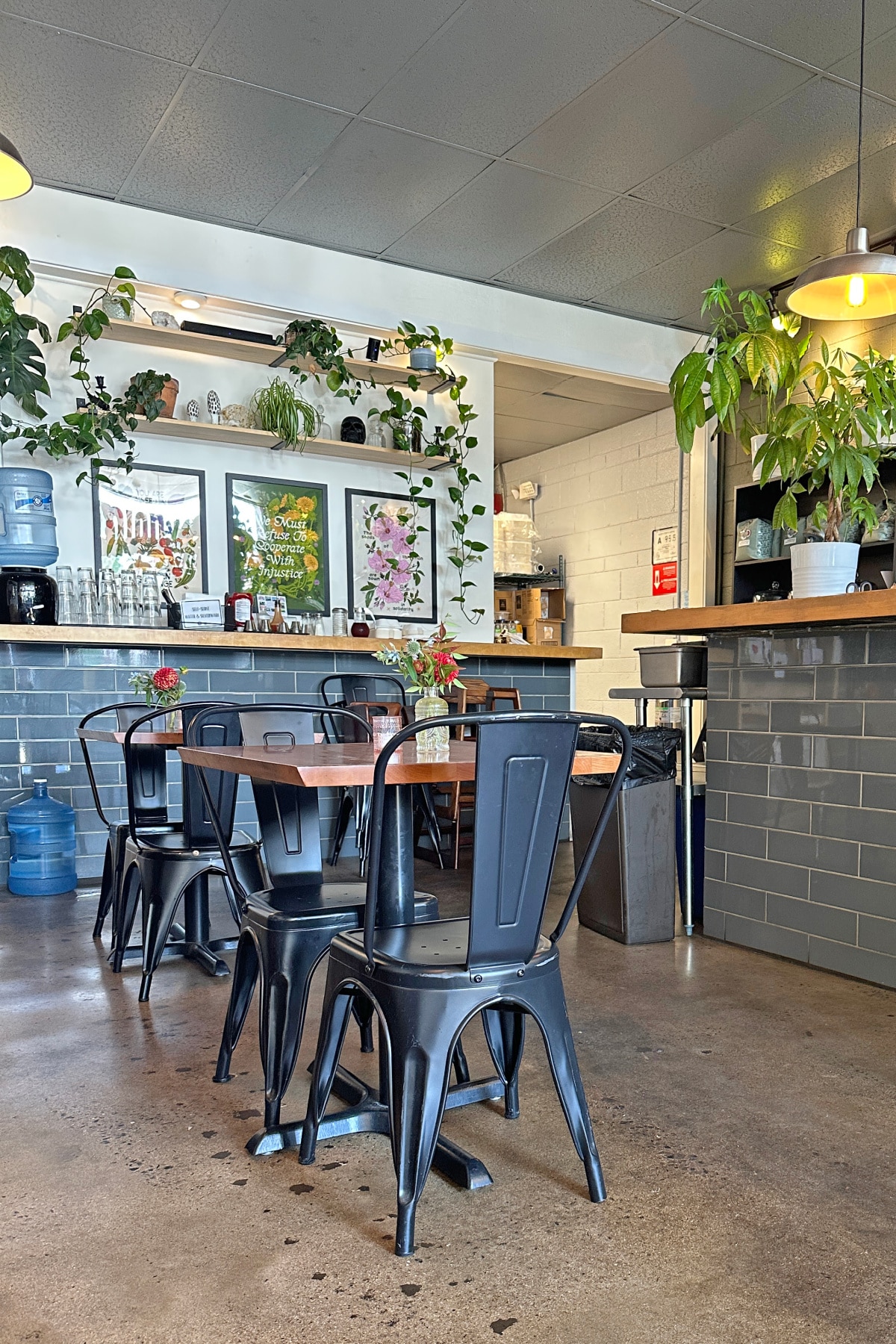 Tables, chairs, and plants in The Smokin' Onion restaurant.