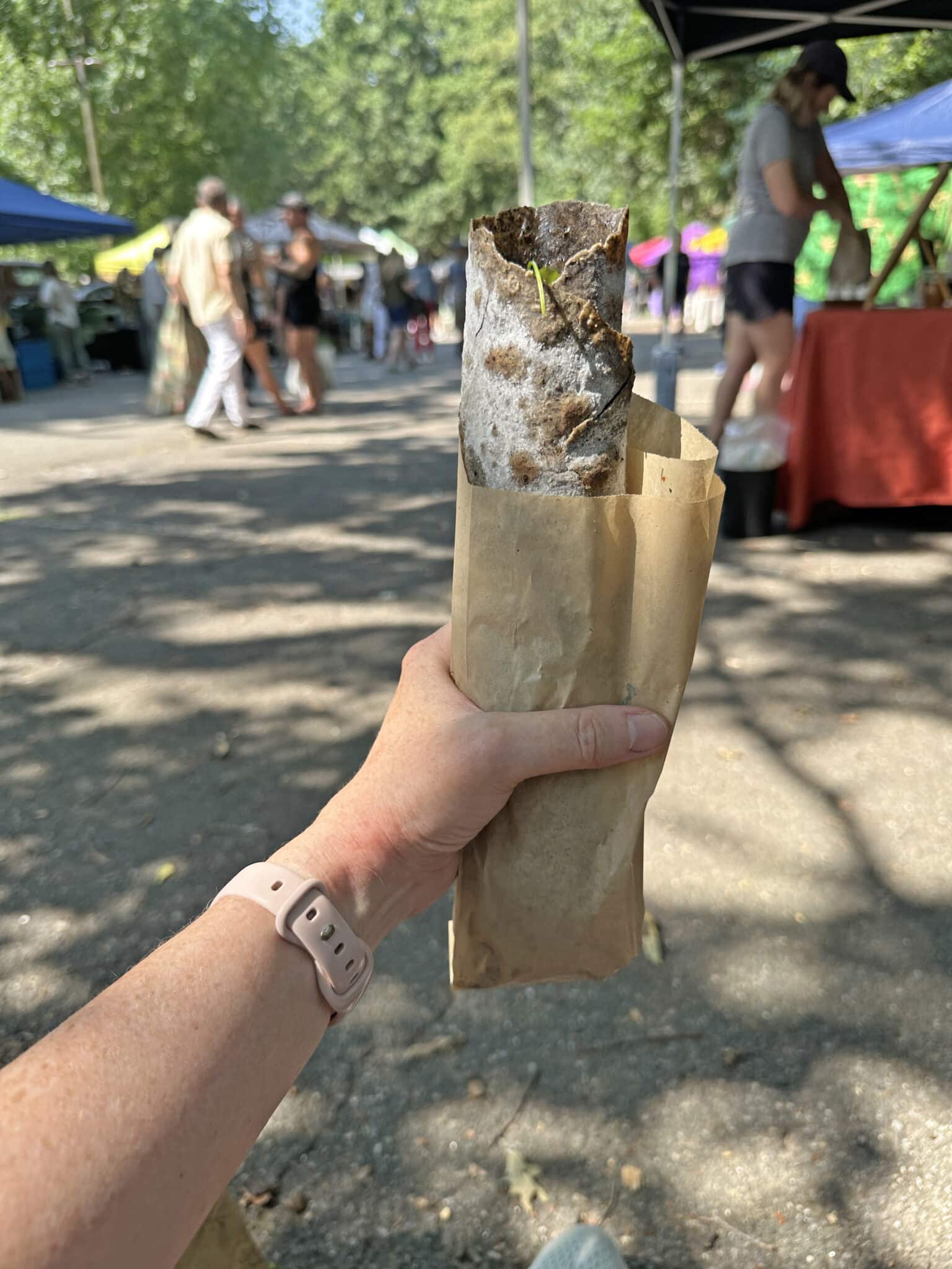 Hand holding Lebanese wrap at farmers market.