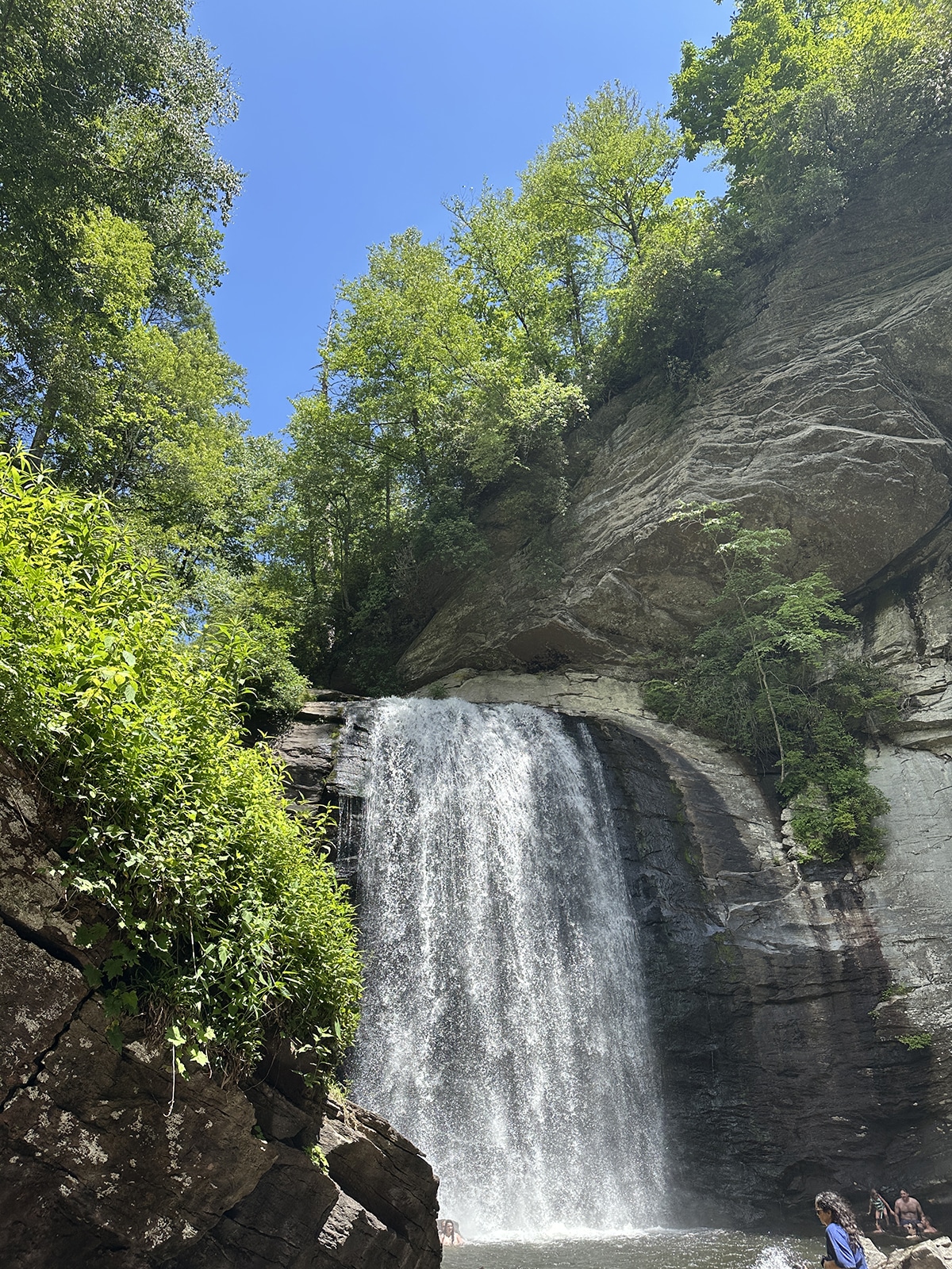 Looking Glass waterfall with trees surrounding it.